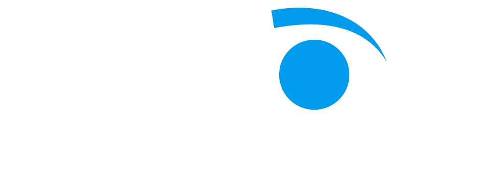 Logo branco Pleion